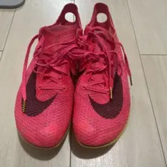 Item thumbnail for item ead75fe1-44ac-4d69-9246-5f0eafc770a5