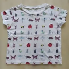 INSECT COLLECTION 半袖Tシャツ M 100~110サイズ