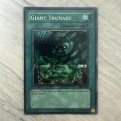 遊戯王 超古深海王シーラカンス 英語版 レリーフ 1st 遊戯王 超古深海王シーラカンス 英語 レリーフ 1st - メルカリ