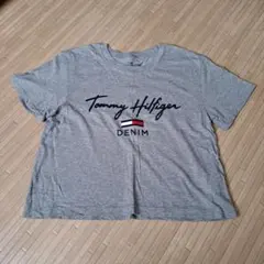 Tommy Hilfiger DENIM Tシャツ S/P グレー
