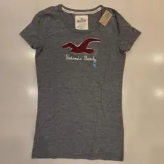 【新品未使用】Hollister Tシャツ Mサイズ グレー