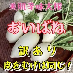 岡山県産　無肥料　訳ありおいばね1㎏以上 辛味大根　野菜セットのサムネイル