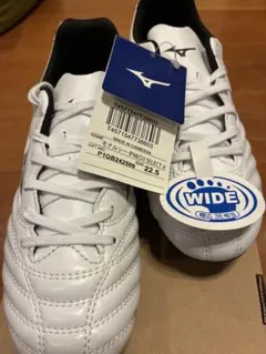 ミズノ モナルシーダ 24