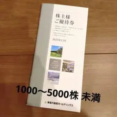 東急不動産ホールディングス 株主優待券冊子 1000〜5000株未満