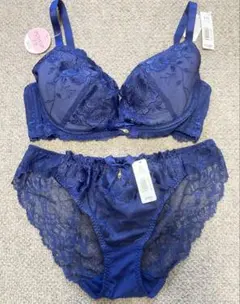 プッシュアップ　ブラ　エメフィール レース　E75 L ネイビー