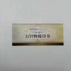 ヤマダ電機 株主優待 3,000円