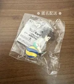 ハイキュー!! プチっとのりマス vol.3 及川徹