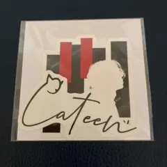 すぬちゃん様 リクエスト 2点 まとめ商品