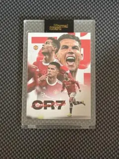 Item thumbnail for item a48dff59-14db-4417-b96d-28396f28e7e1