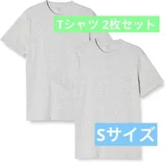 2枚組 Tシャツ クルーネック スリムフィット 半袖 メンズ