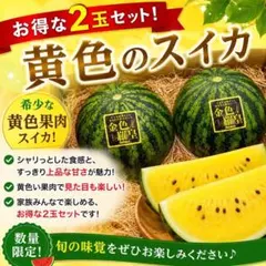 9/1迄！新潟県産ブランドスイカ 希少品種 金色羅皇 2L 1玉 - メルカリ