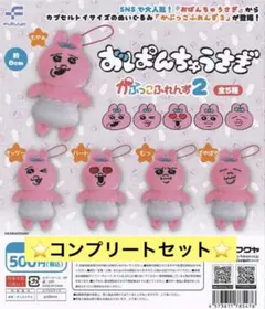 ⭐️即日発送⭐️おぱんちゅうさぎ　かぷっこふれんず2 5種　コンプリートセット