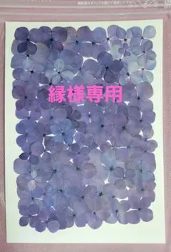 縁 -ENISHI shop-様専用　 リクエスト 2点まとめ商品