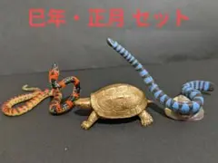 ★限定☆巳年・正月 爬虫類セット