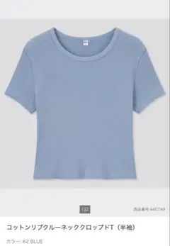 コットンリブクルーネッククロップドT