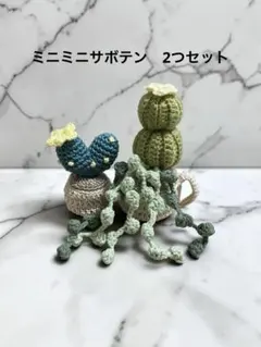 サボテン　かぎ針編み　あみぐるみ　置物　インテリア　鉢植え　枯れない花