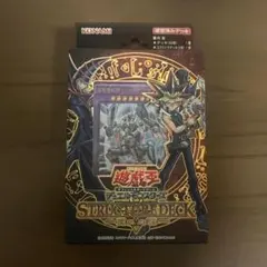 遊戯王 ストラクチャーデッキ 魔法使いの裁き未開封カートン保管品出