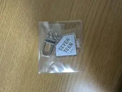 SEVENTEEN キーホルダー シルバー