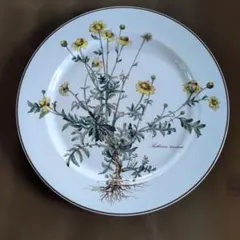 Villeroy & Boch Botanica 皿6枚セット　27センチのサムネイル