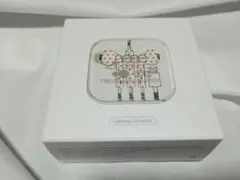 【新品未開封】aeae 有線イヤホン USB-C ホワイト×レッド 完売品