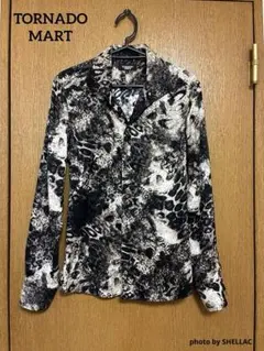 Item thumbnail for item 17ead234-cb1d-4eb9-9977-0c74d1ae810f