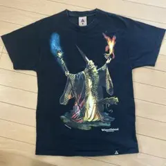 【希少】NIKE ACG Wizard Island Tシャツ Sサイズのサムネイル