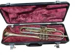 Item thumbnail for item 082ca8fb-8250-4dff-b293-5039c4ebc5ce