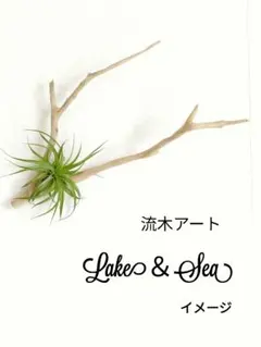 流木アート ウォールデコ　アートオブジェ