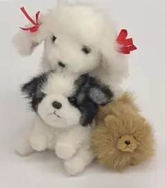 2025年最新】シーズー ぬいぐるみの人気アイテム - メルカリ