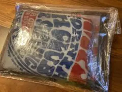 Item thumbnail for item 5a741649-6219-4b0d-a7ef-25b3f090e7f1