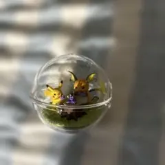ポケモン テラリウムコレクション ライチュウ ピカチュウ リーメント フィギュア
