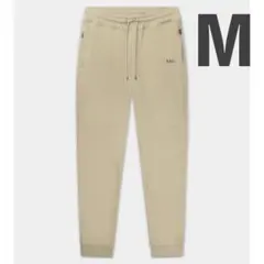 Item thumbnail for item 639c9375-69bd-4838-8507-c0c95393c43b