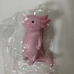 虚無。〜ウーパールーパー〜