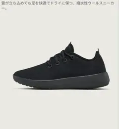 Allbirds ウールランナー ブラック　撥水加工　24.0cm