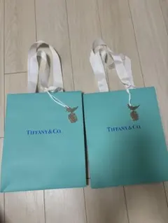 2026年最新】TIFFANY ショップ袋・ショッパーの人気アイテム - メルカリ