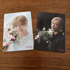 トリンプ×佐藤新 （IMP.）2枚セット 非売品カード 【あなたの胸に花束を。】