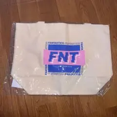 最終値下げ FANTASTICS FNT LIVE TOUR トートバッグ