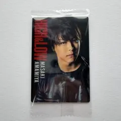 HIGH&LOW 10周年記念 雨宮雅貴/EXILE TAKAHIRO