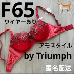 新品【F65】アモスタイル夢みるブラ赤レッド　ワイヤーありAMOSTYLEのサムネイル