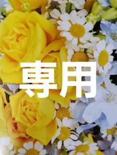 アキ様 くじら様 専用 他の方は購入をお控え下さい