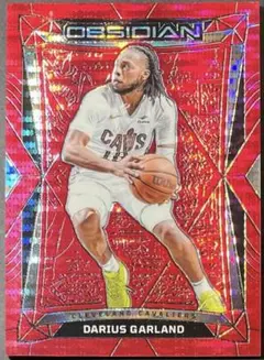 8枚限定 Darius Garland Obsidian Prizm NBA