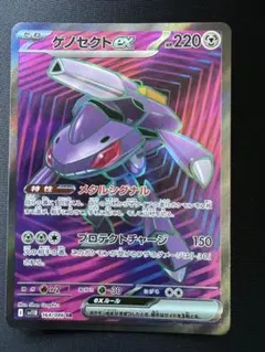 ぐっさん様 リクエスト 2点 まとめ商品