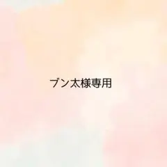 ＊ブン太様専用ページ＊