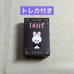SKZOO FIGURE(CLIMBING VER.) Leebitのサムネイル