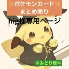 hig様 リクエスト 10点 まとめ商品