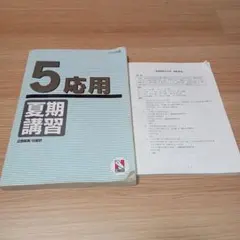 2026年最新】日能研 5年 夏期講習の人気アイテム - メルカリ