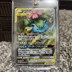 早い者勝ち！フシギバナ＆ツタージャgx SAのサムネイル