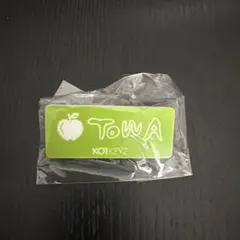 濱田 永遠　ブリスター入りミニアクリルスタンド　ネームプレート カプセルトイ ko1keyz 濱田永遠 ネームプレート - メルカリ
