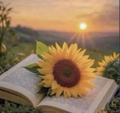 沼ぽ様 リクエスト 2点 まとめ商品