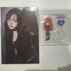 IVE REVIVE+: IVE Vol.2リズ　2点セット